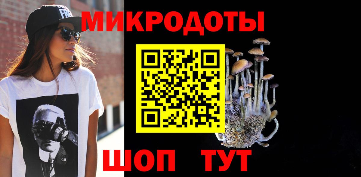 Псилоцибиновые грибы GOLDEN TEACHER  наркошоп  Алейск  Псилоцибиновые грибы мицелий  Вход с VPN 